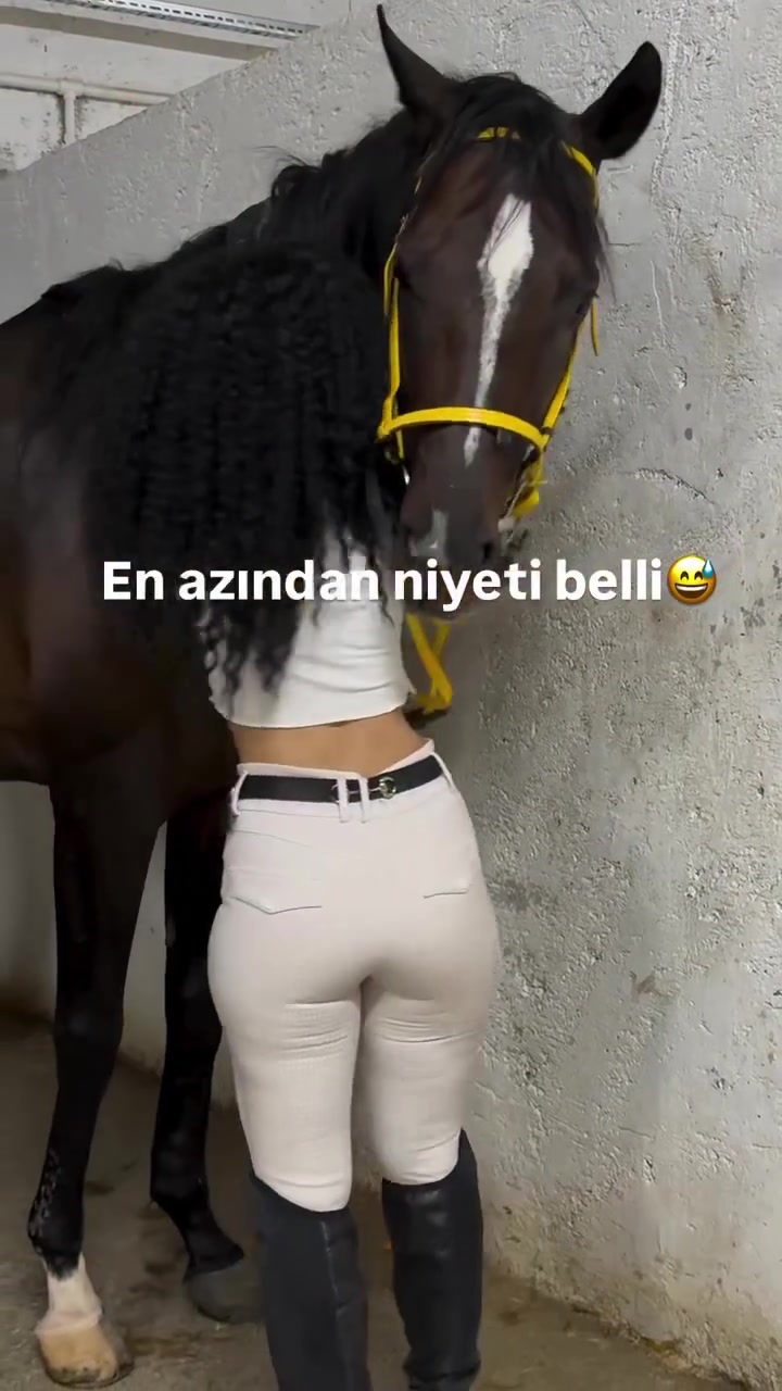 @Barış Reus