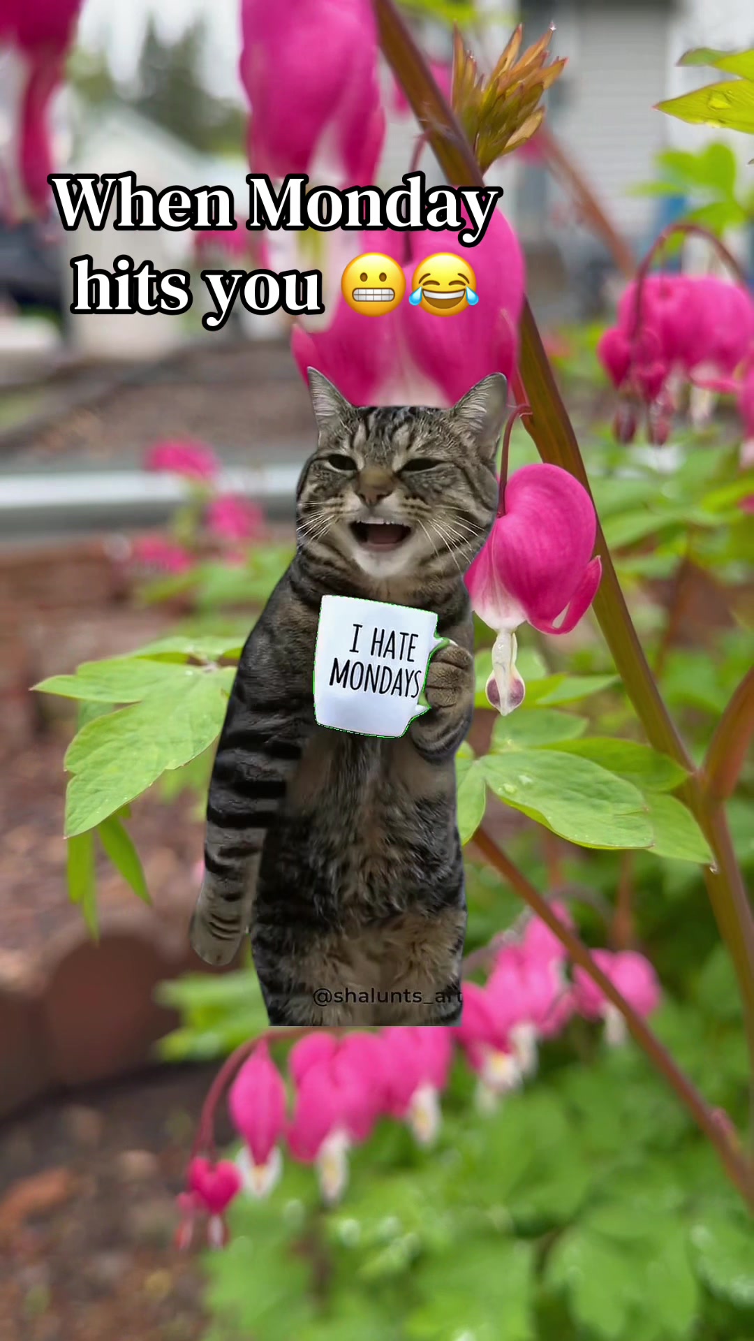 @marjs:)rie