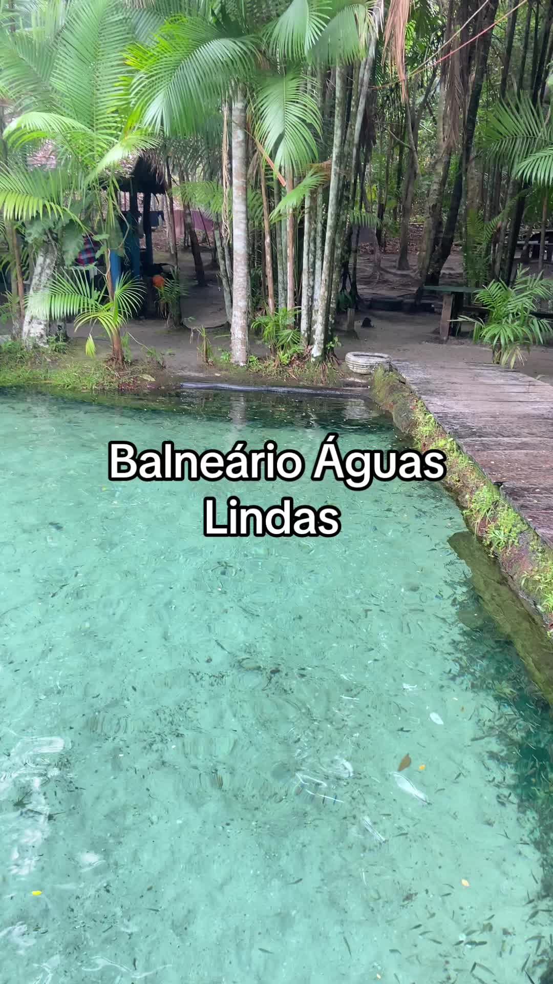 @rotaspara