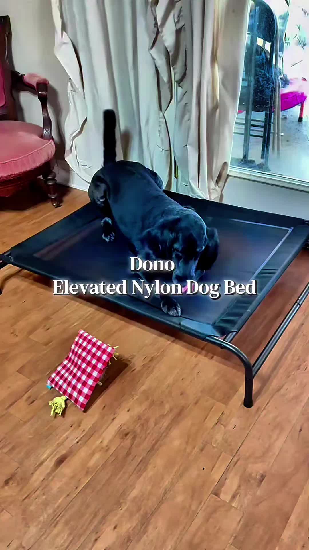 @Dogs Lovers