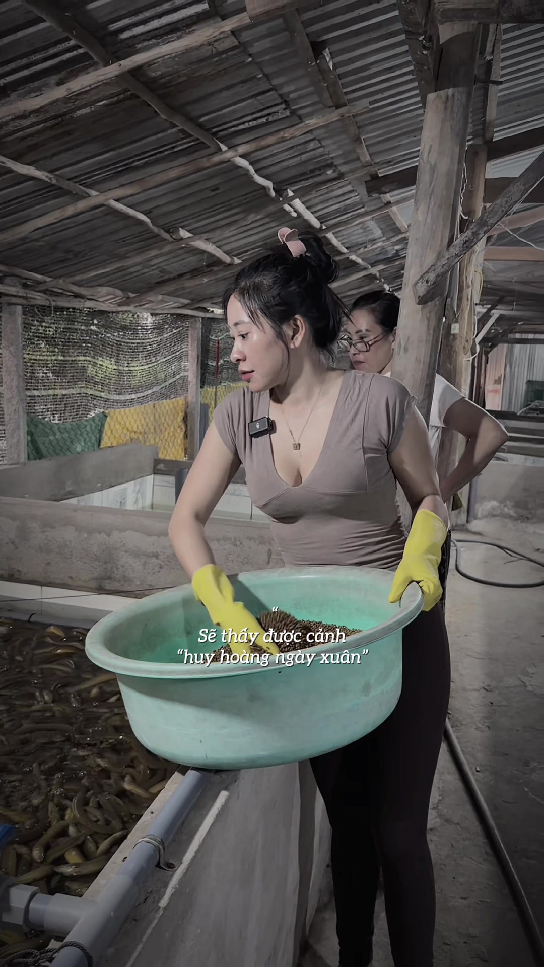 @Cẩm Vân Cô Gái Miền Tây