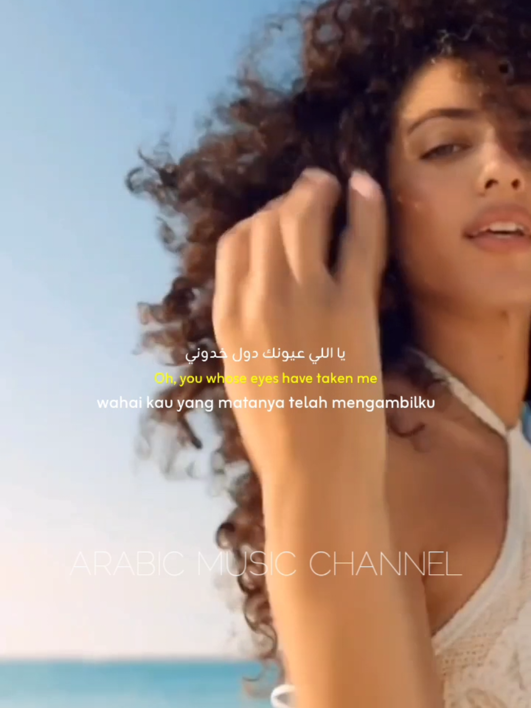 @Arabic Music Channel