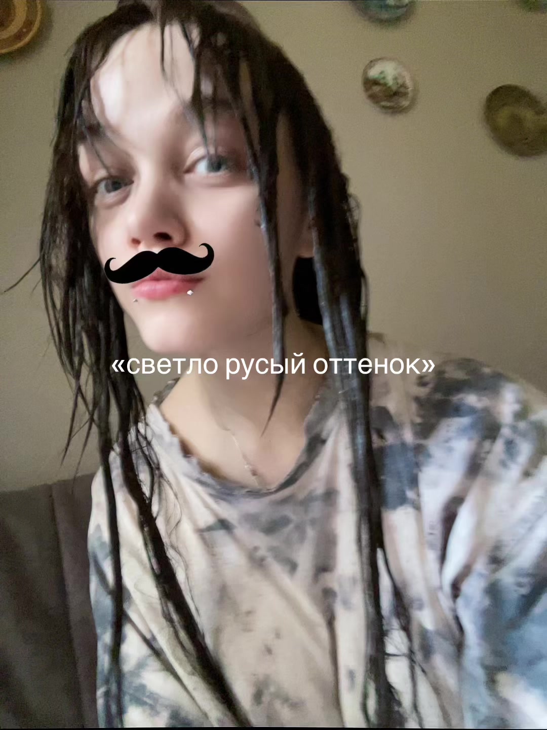@лацертида