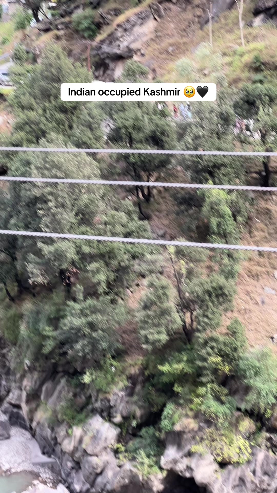 @Aamir Kashmiri 🍁