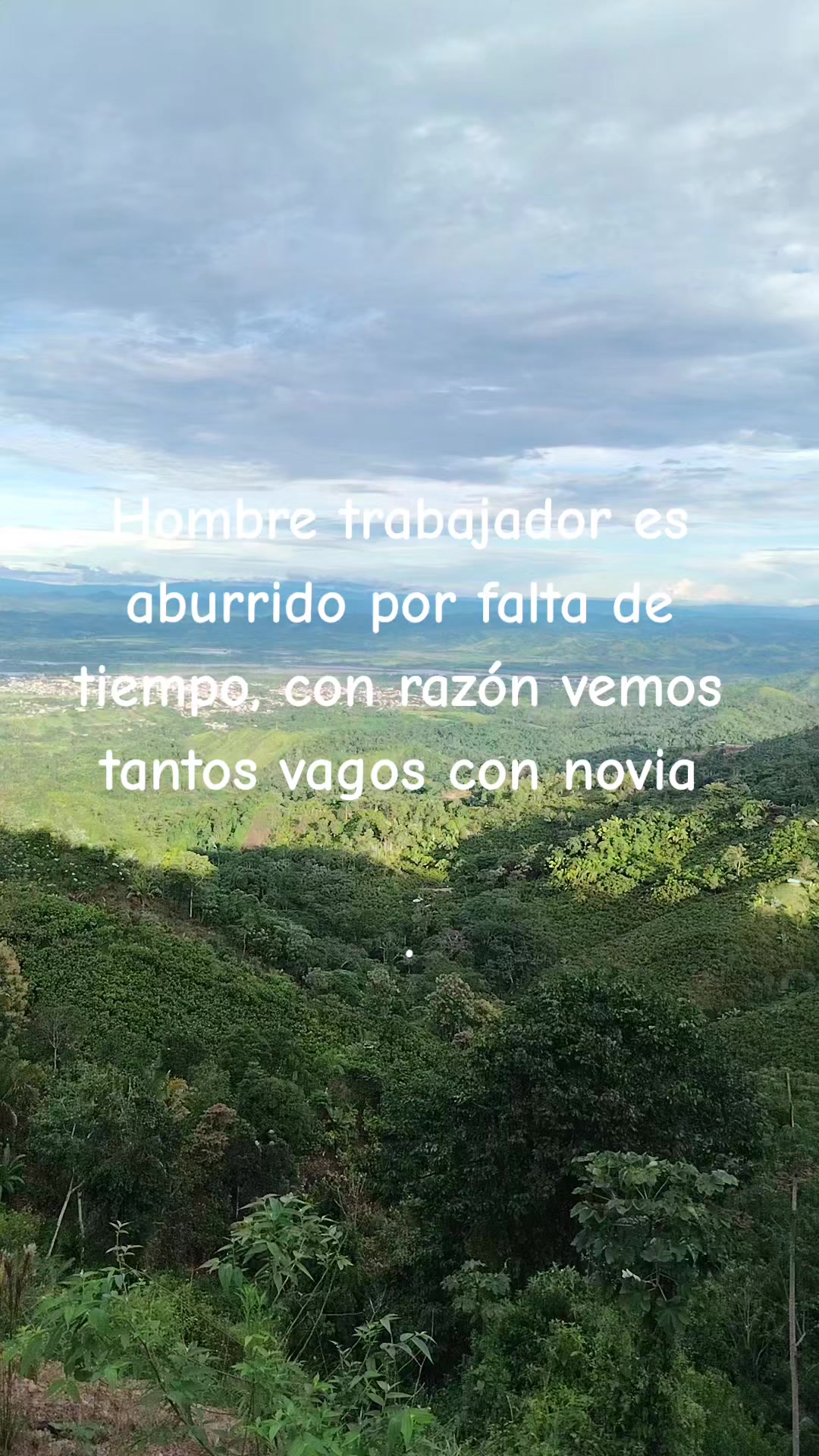 @yoi mv