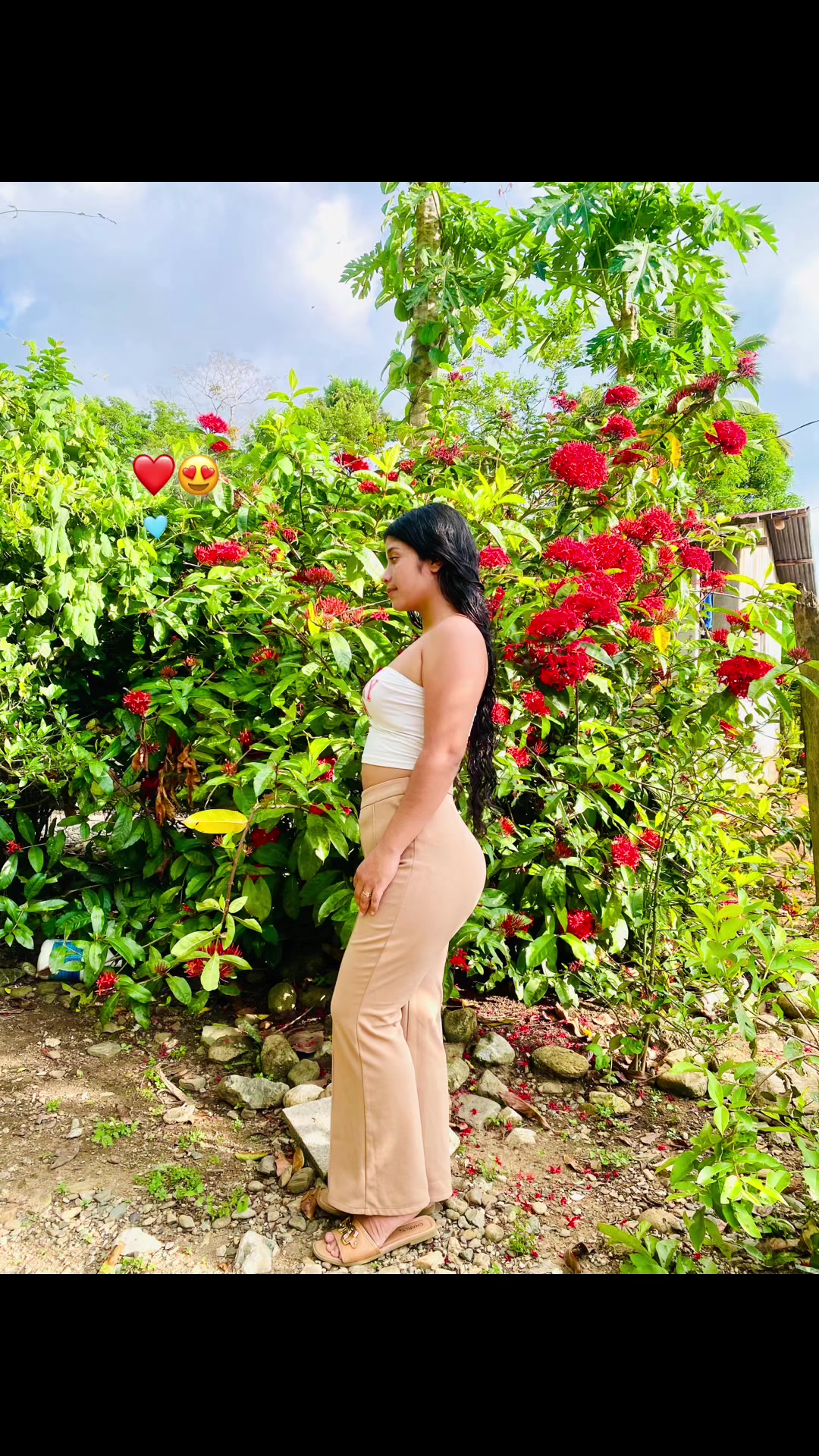 @Angeles 🦋....❤