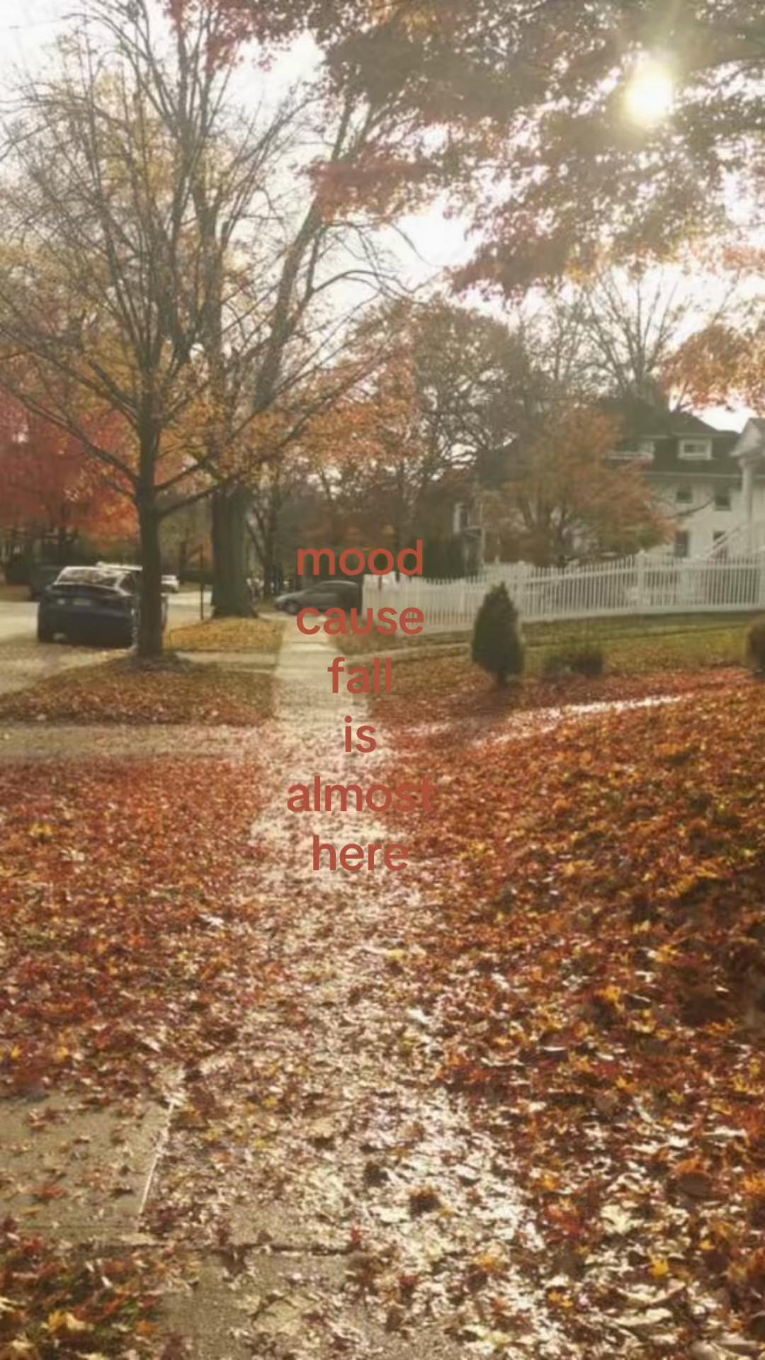 @𝕸𝖆𝖗𝖎𝖇𝖊𝖑𝖑𝖊 ᨶ႒ᩚ