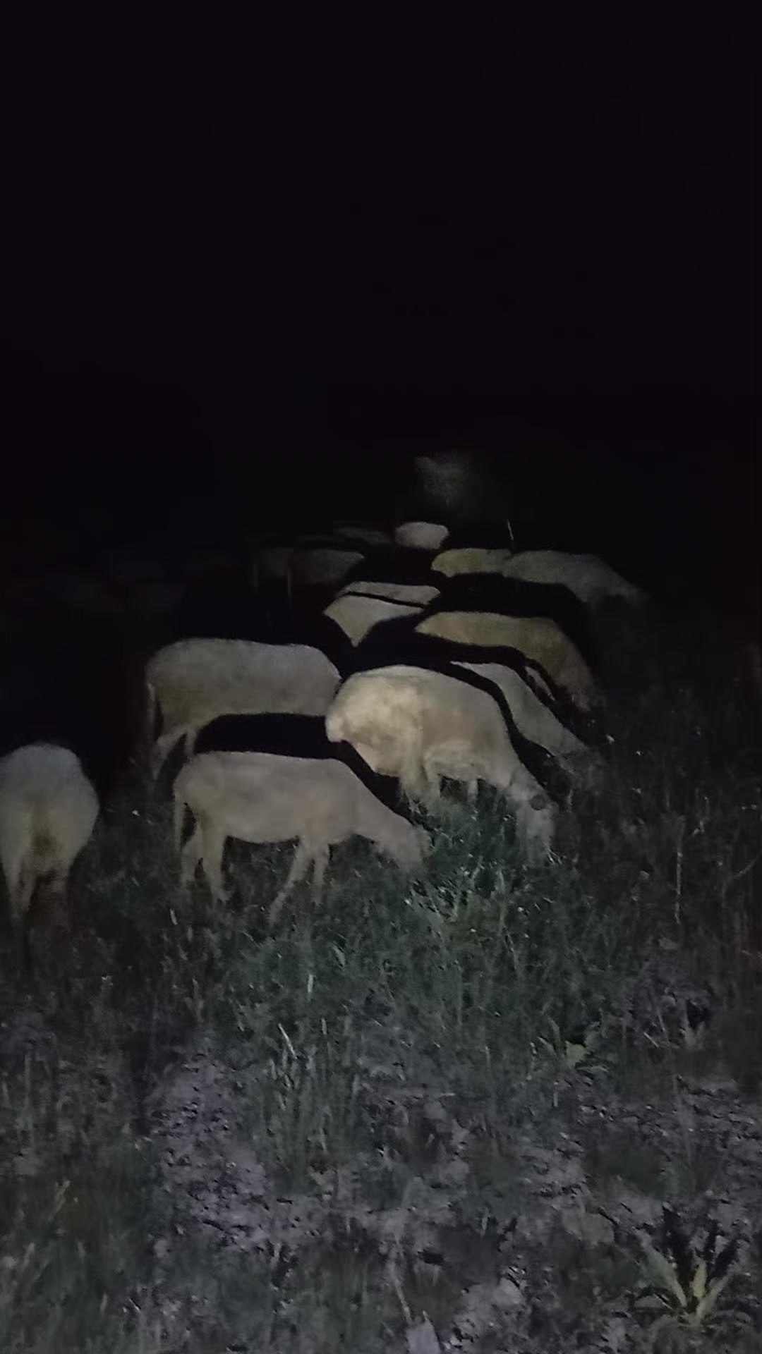 @Furkan STLMŞ 03