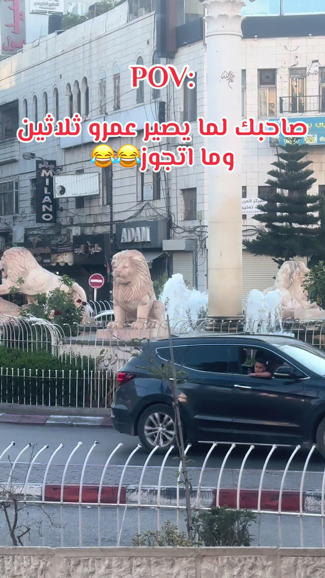 @Bahaa barakat🇵🇸