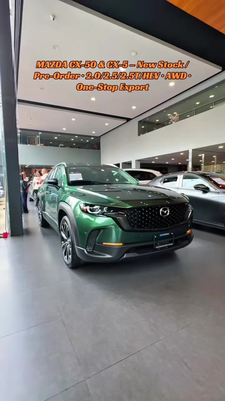 @China Car Exporter|Sasa exit