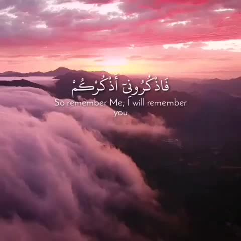 @طارق العمري