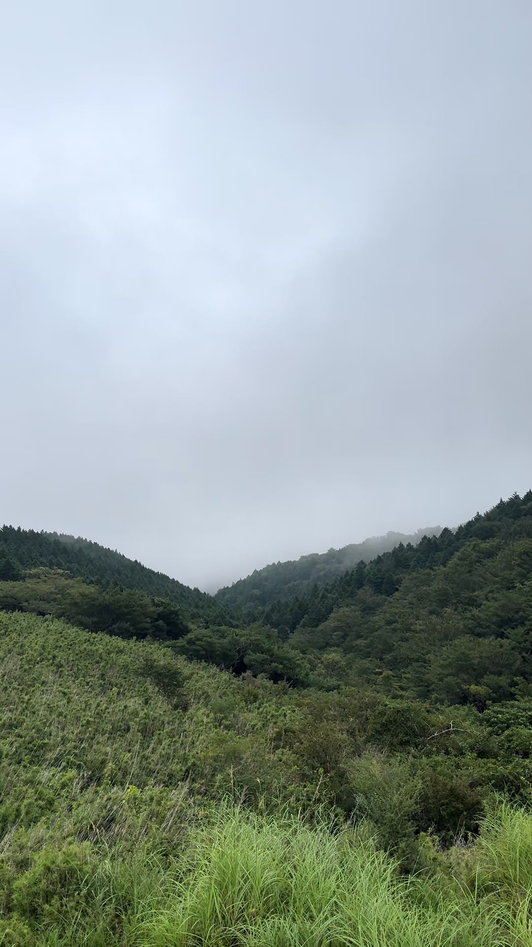 @japan.guidepal