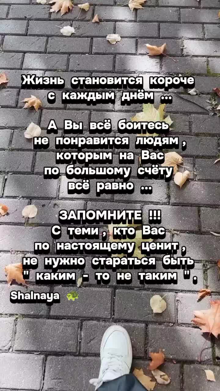@Шальная 🐢🐢🐢
