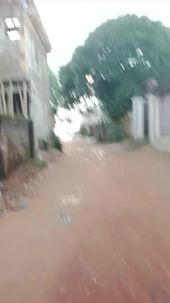 @Mandala