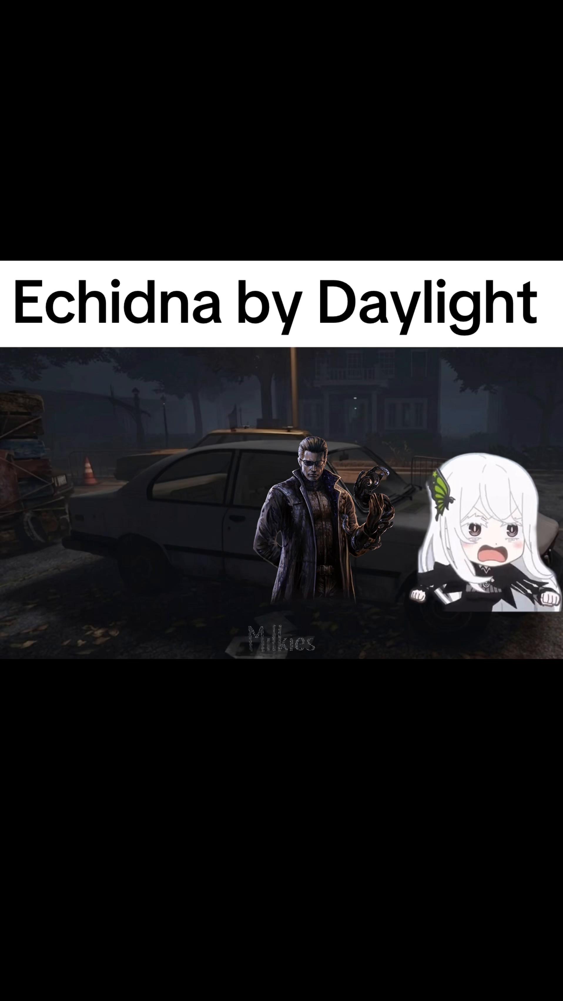 @Milkies/Echidna