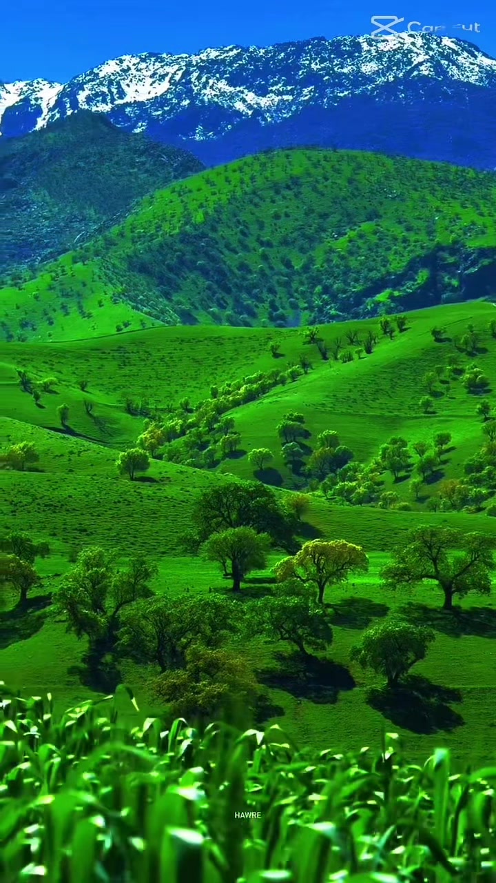 @insta:simbat_asylxankizi