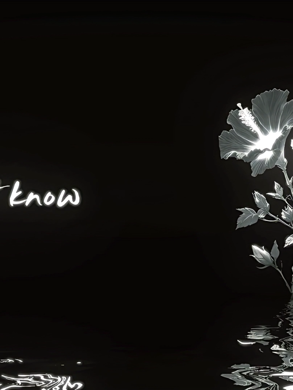 @𝐇𝐈𝐑𝐎.