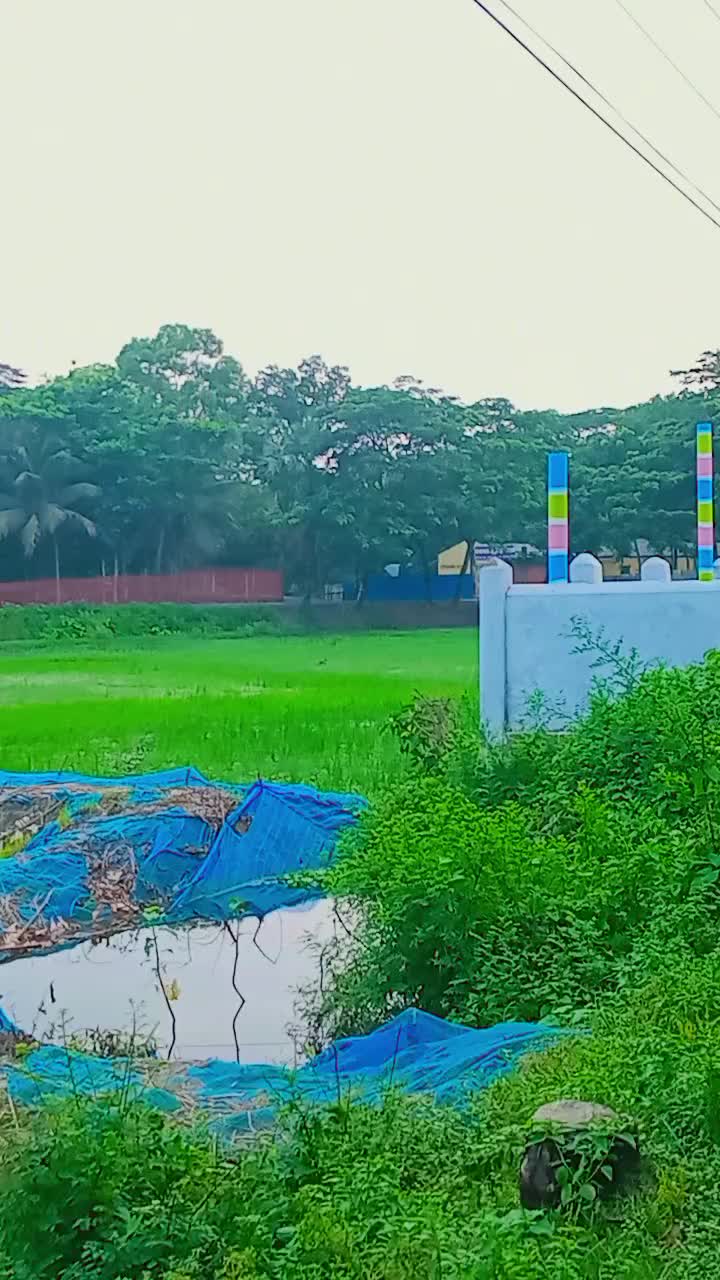 @মোঃ ইব্রাহিম