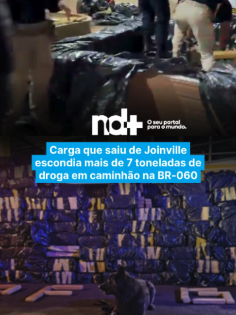 @portalndmais