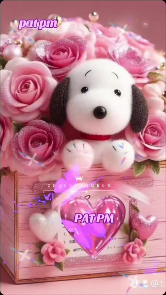 @PAT PM