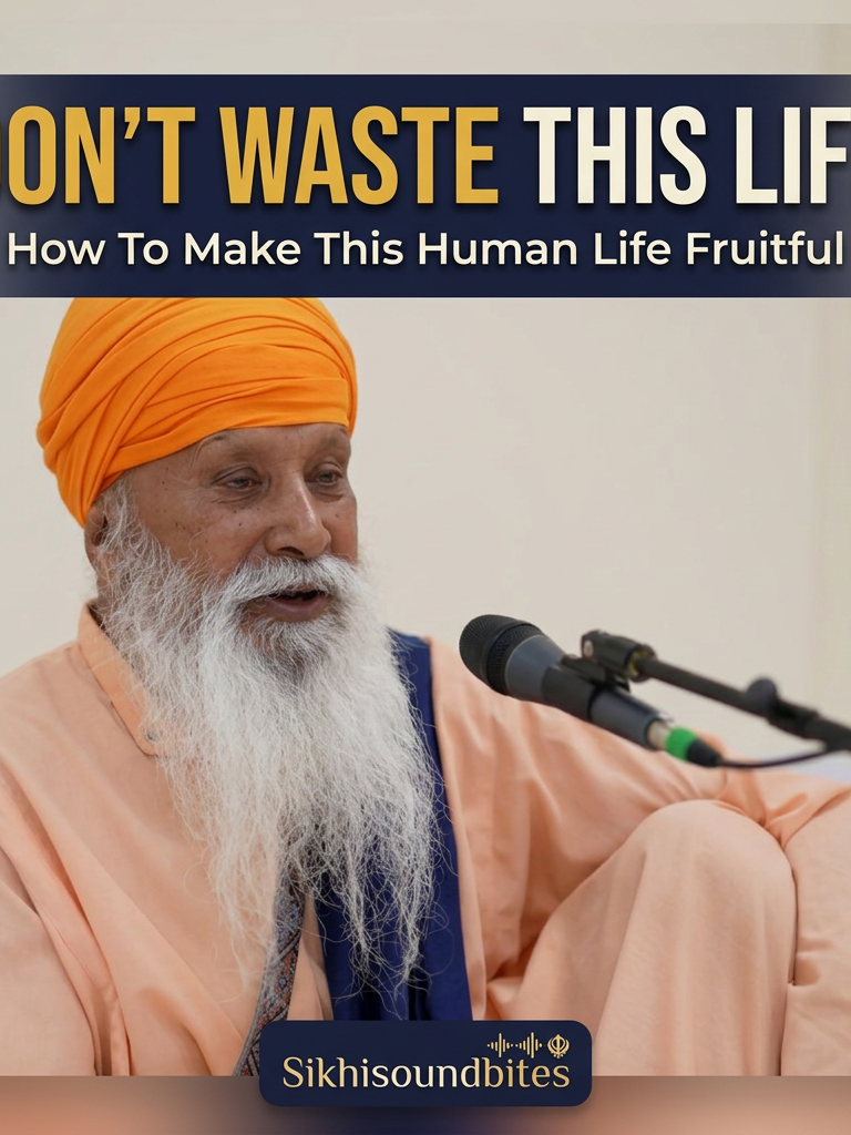 @Sikhi Soundbites