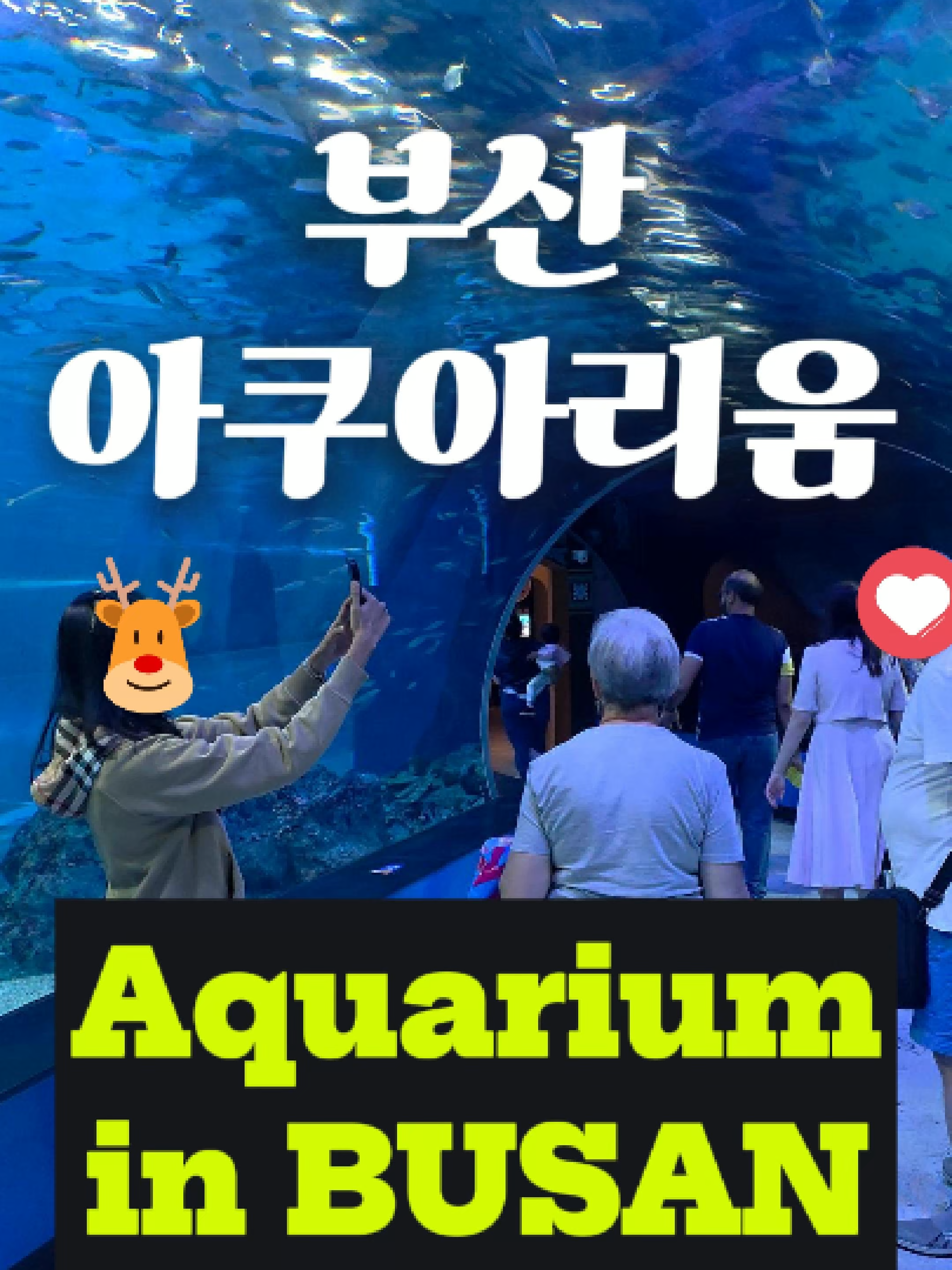 @Hello Ktour