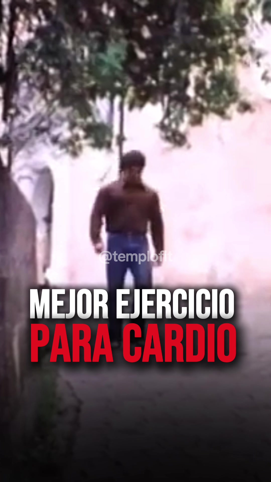 @TEMPLOFIT | Heavy Duty Moderno