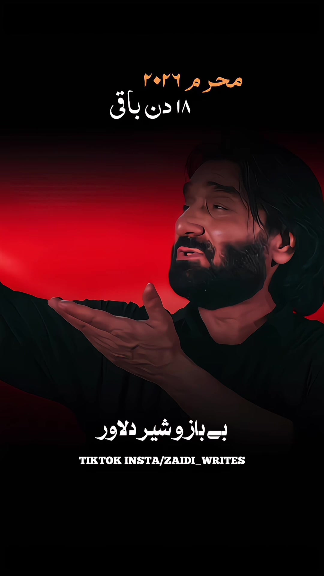 @Zaidi_Writes