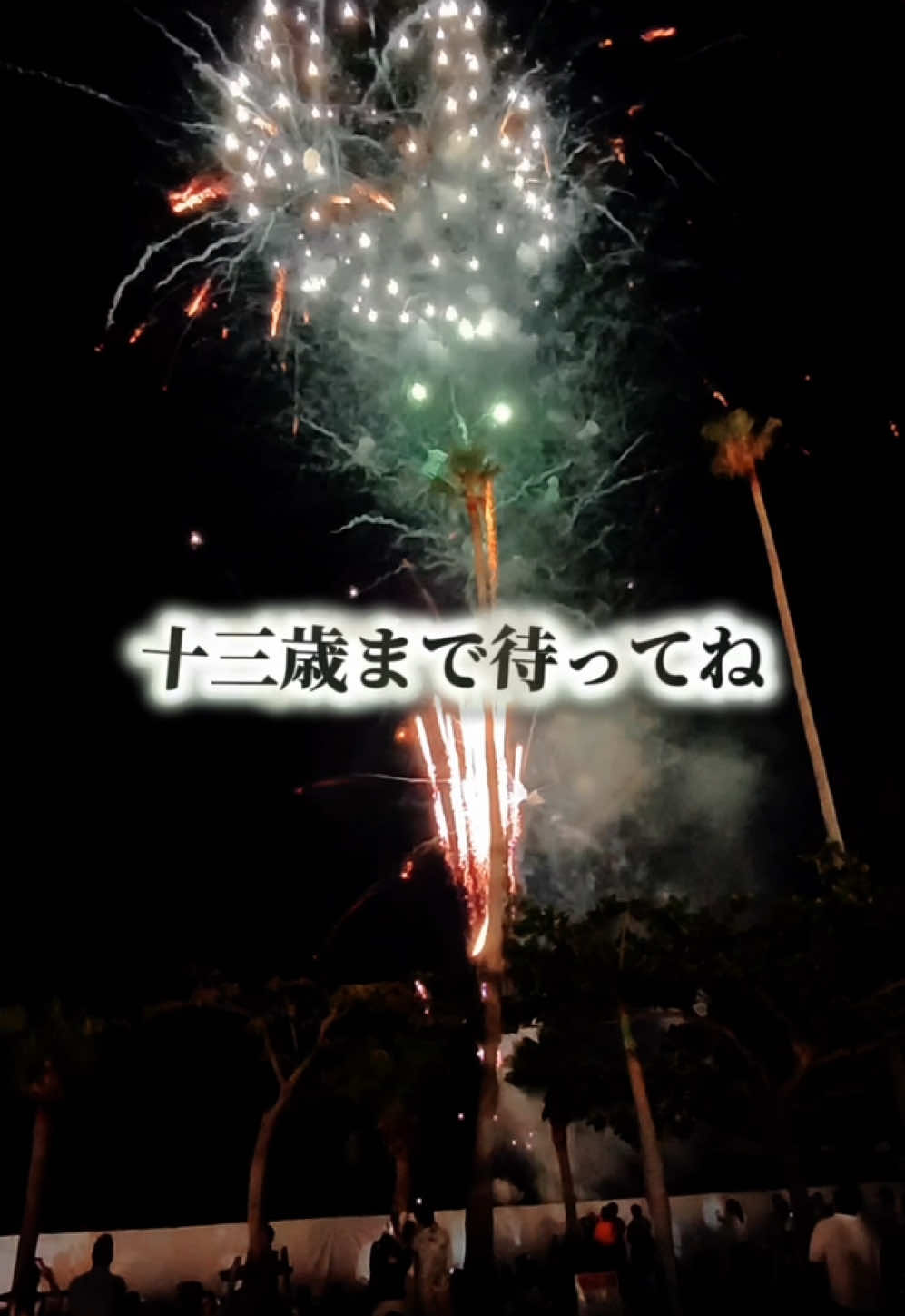 @🌺Hiro沖散歩🤍🌺