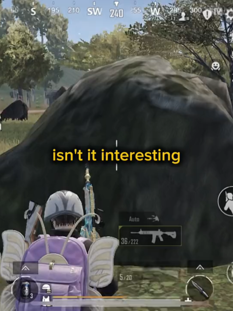 @Moiz🕸️