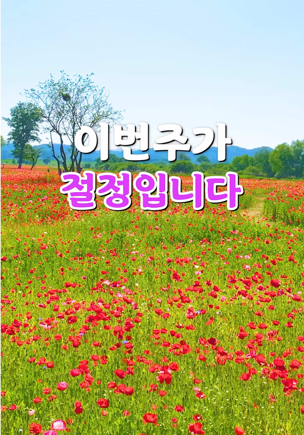 @Ddoo_pd
