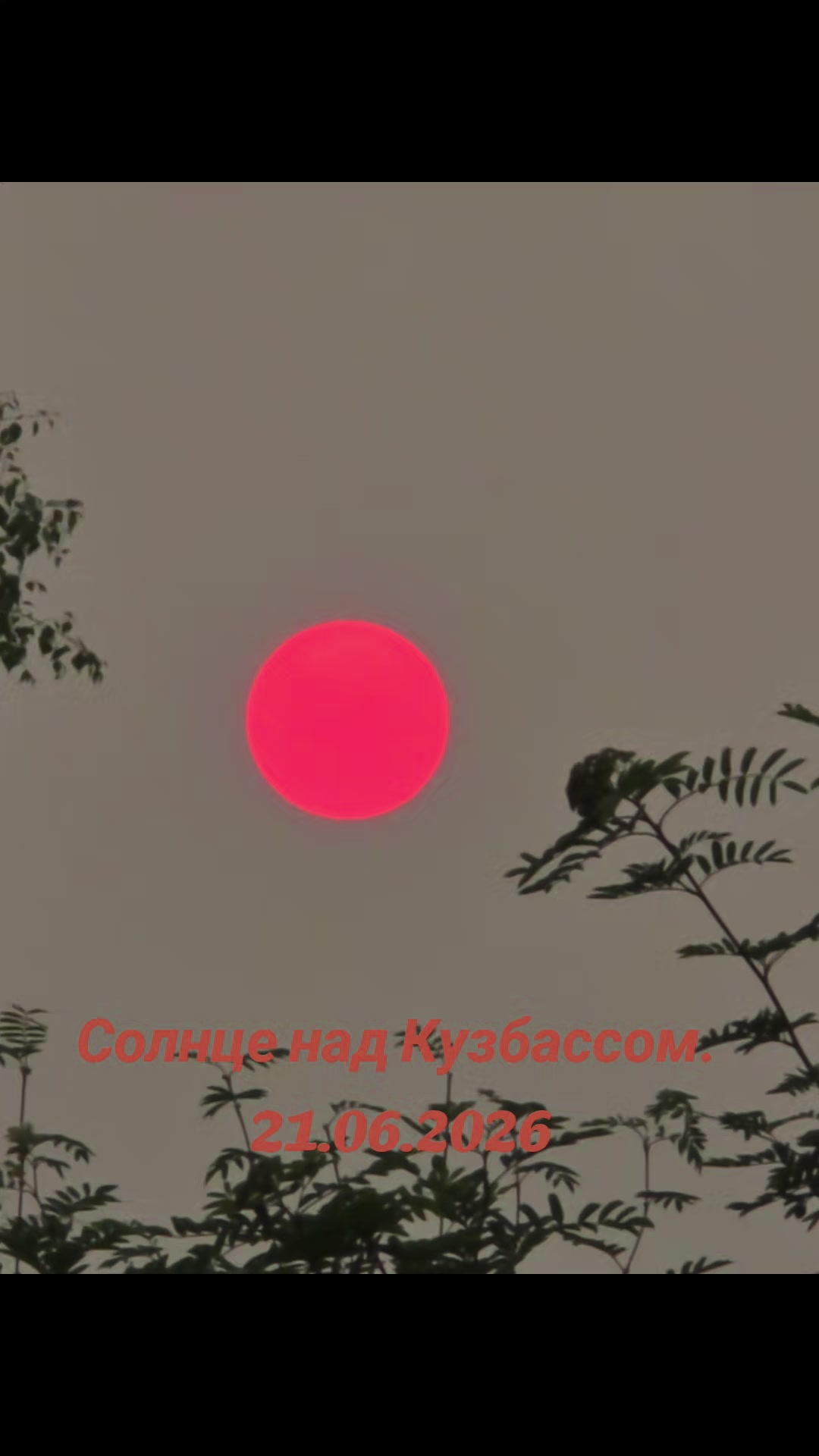 @user39573708362