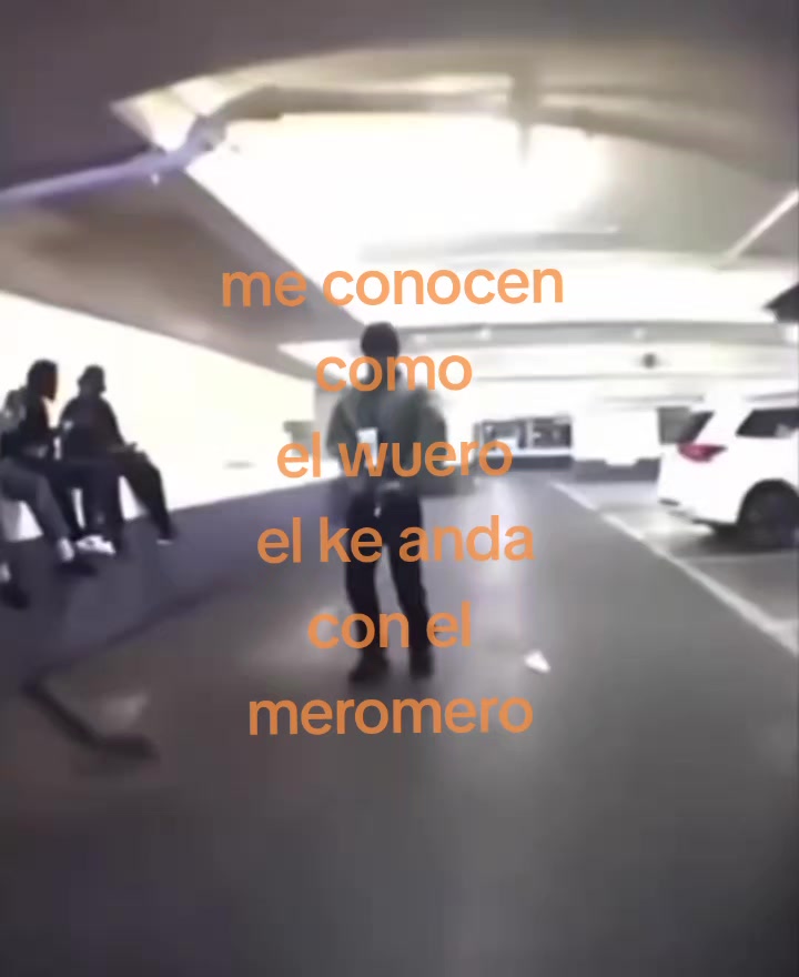 @gallardo