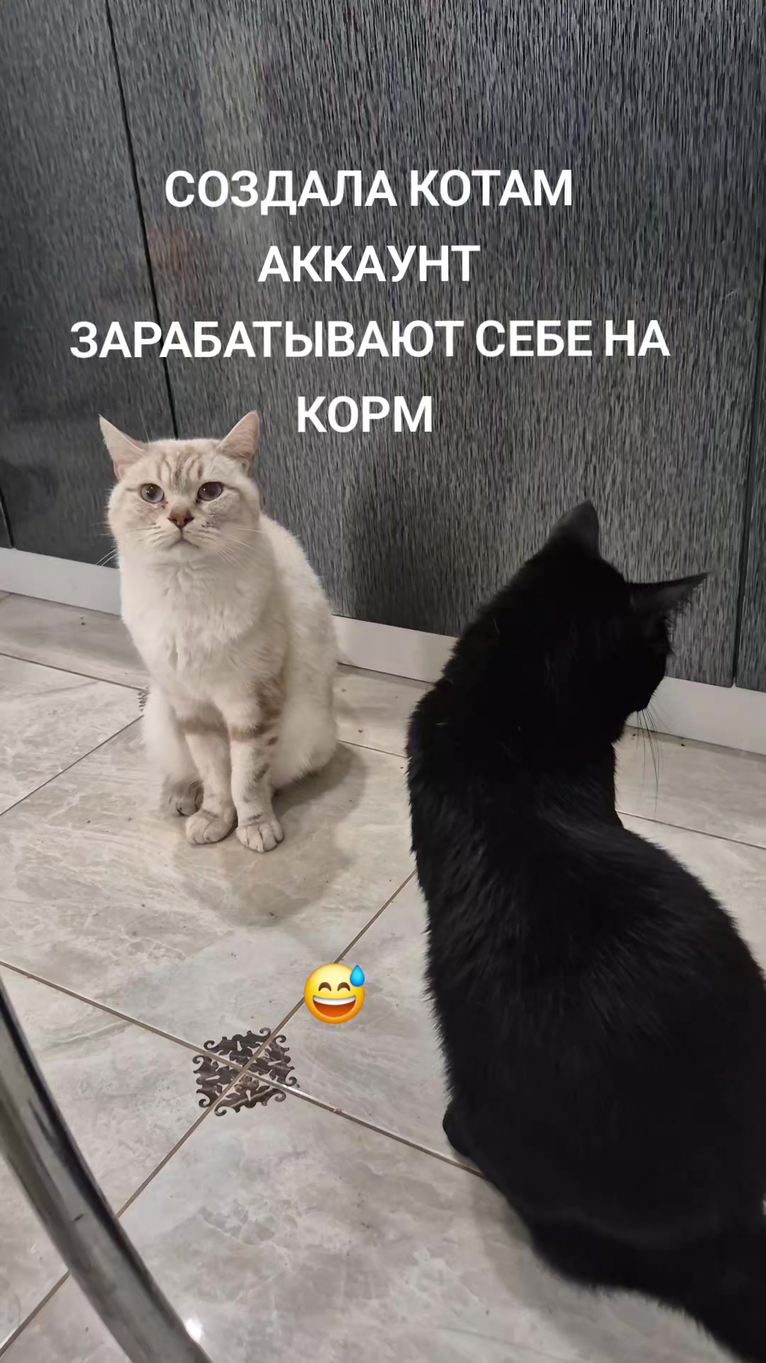 @smart_mom_anapa