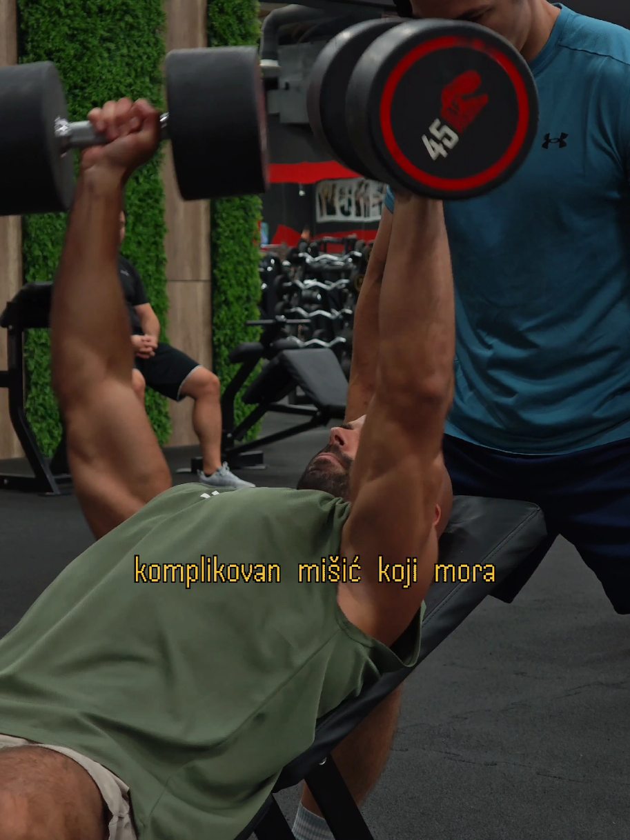@lazarnicma