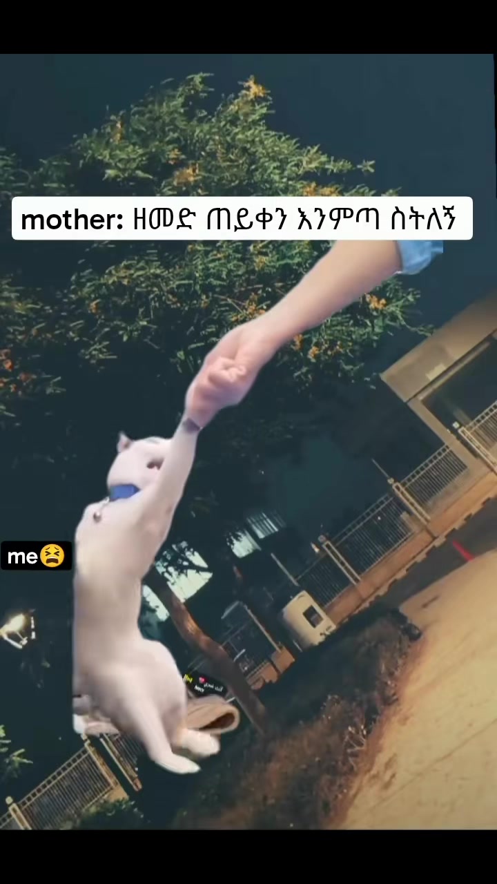 @ሁሰኒያ👸🍫🦋