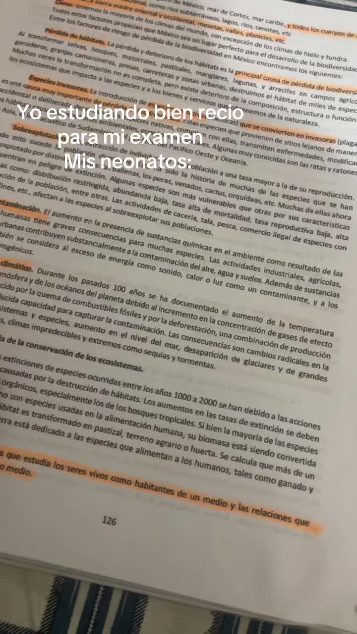 @Sara 🪩