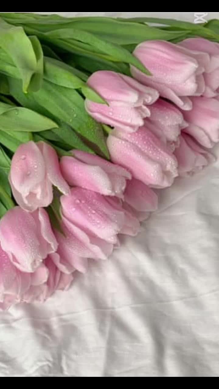 @gueastsm