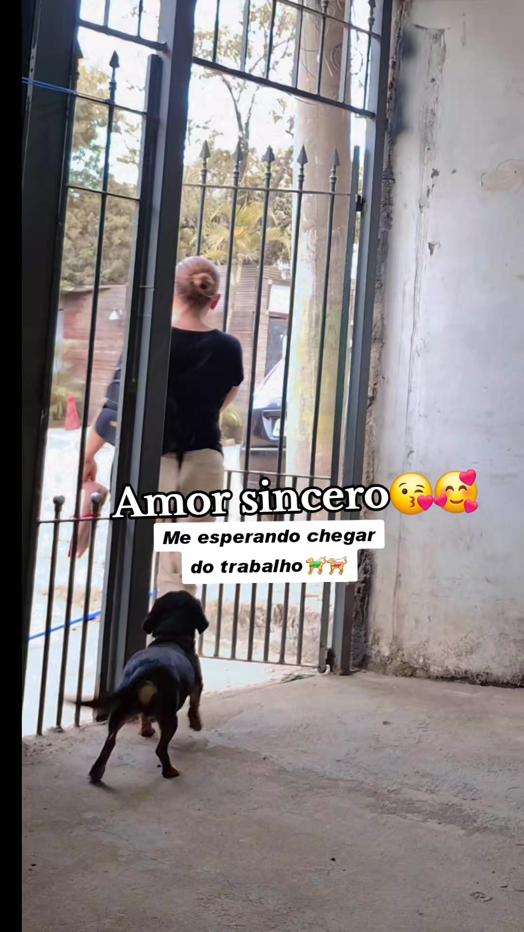 @Lilifeliz