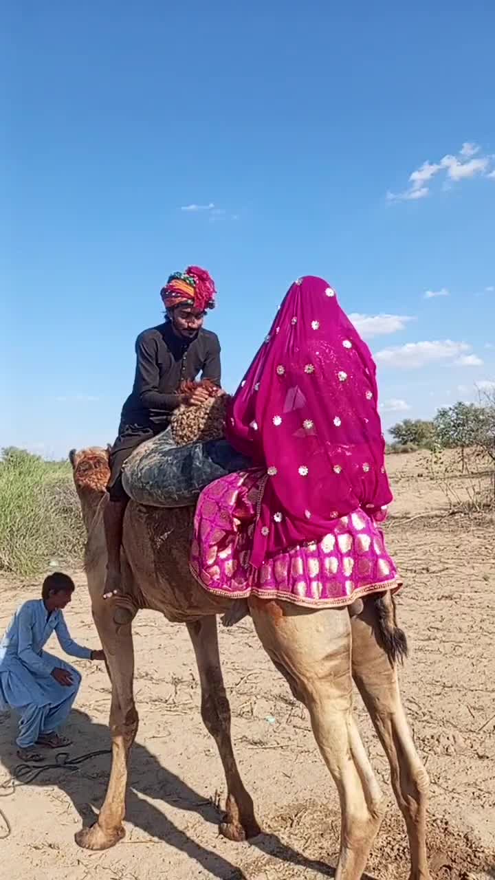 @Camel Lovers