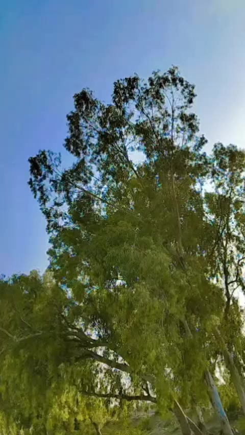 @Basharat007