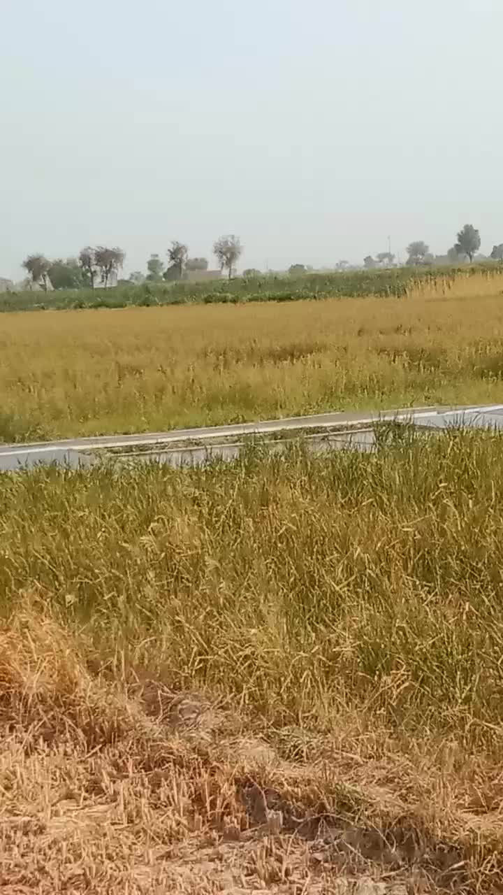 @#ChotayMeerSahab# ♥️