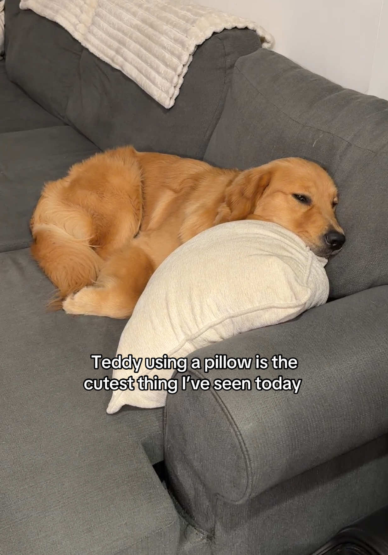 @Teddy🧸
