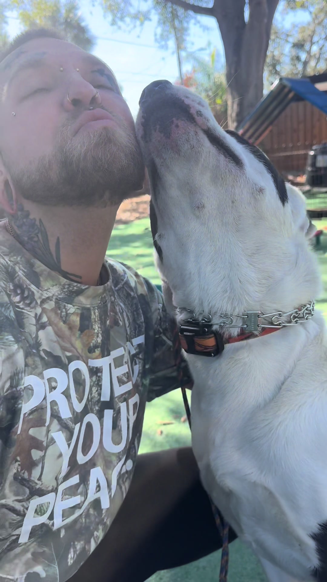 @balancedcanineacademy