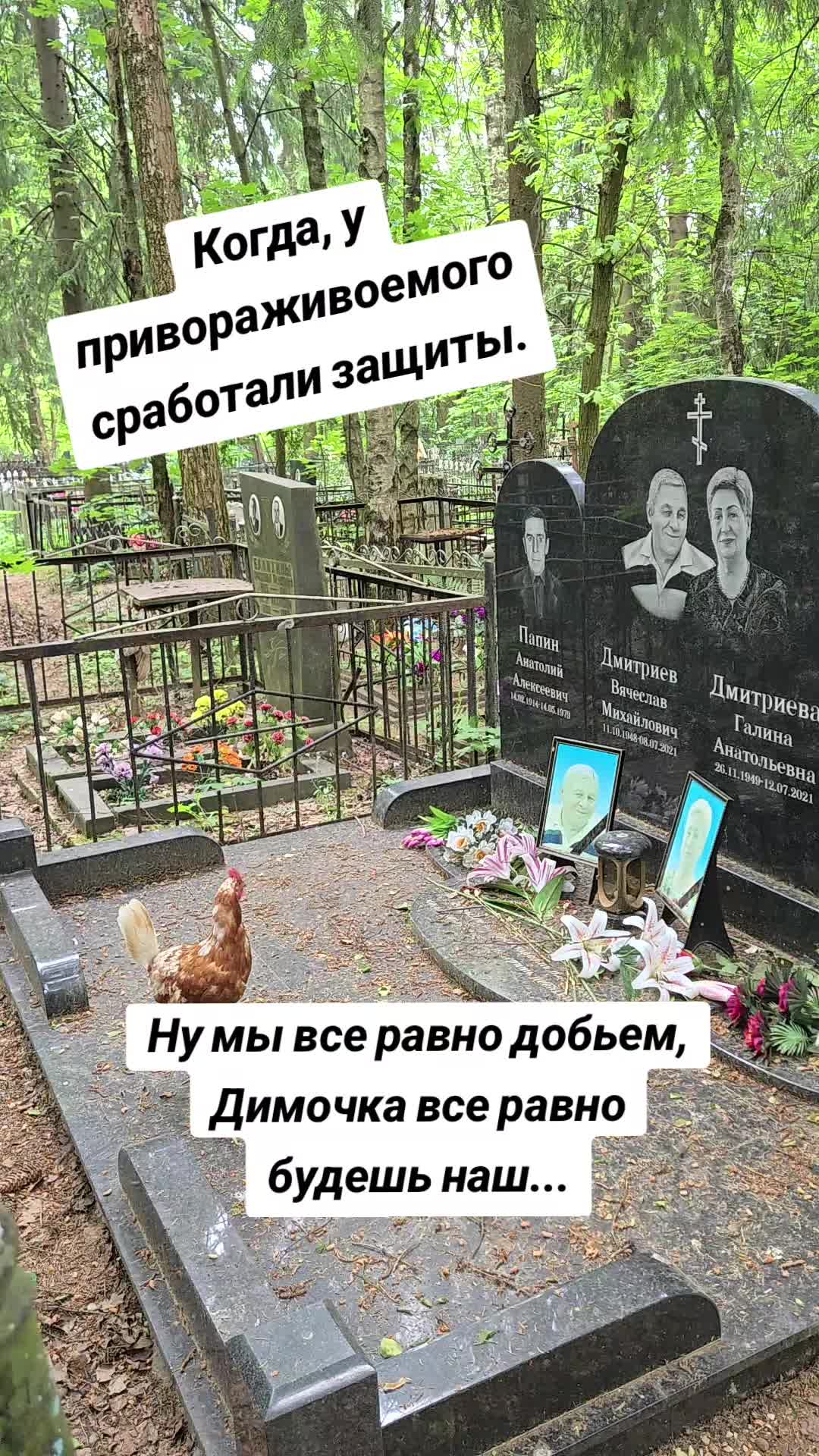 @VEDMA666