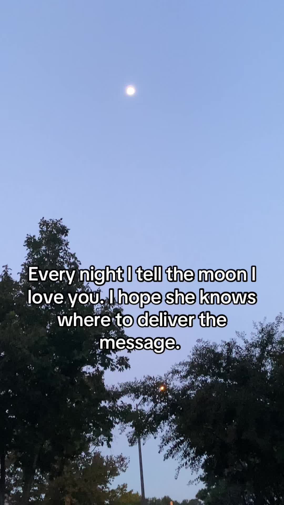 @Lady and Gus