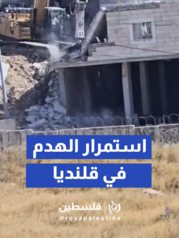 @Royapalestine رؤيا فلسطين
