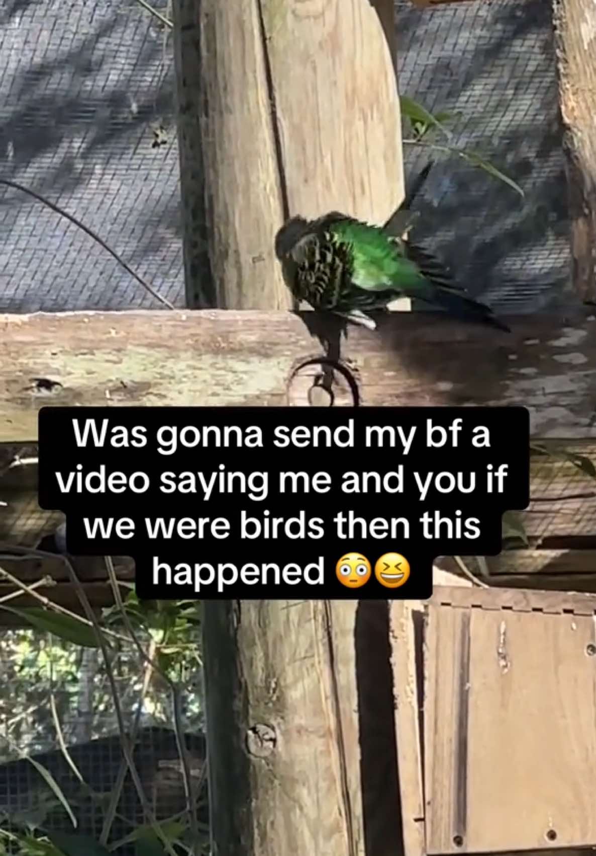 @bl0ndeandbased