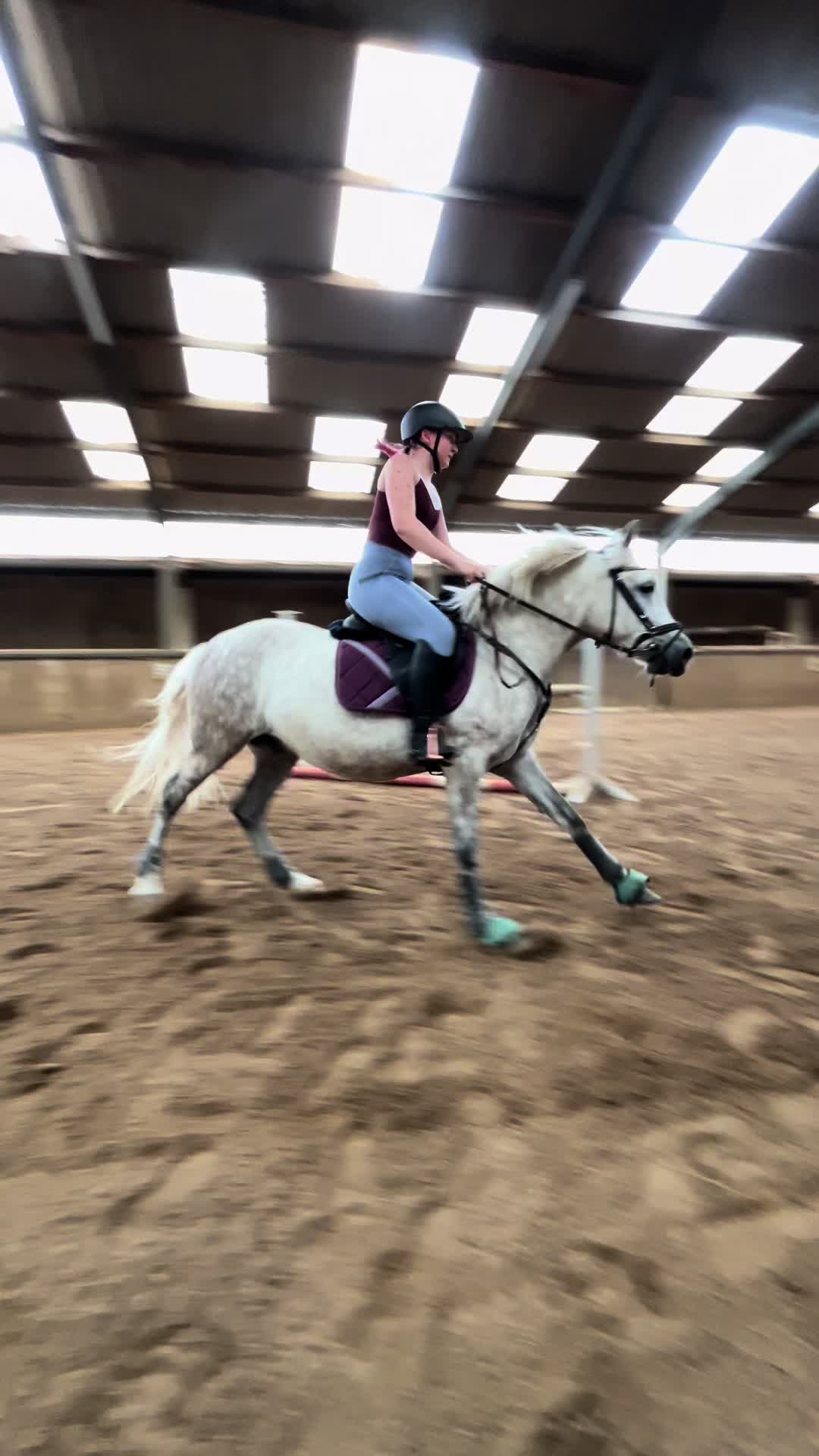 @sunny_the_pony20