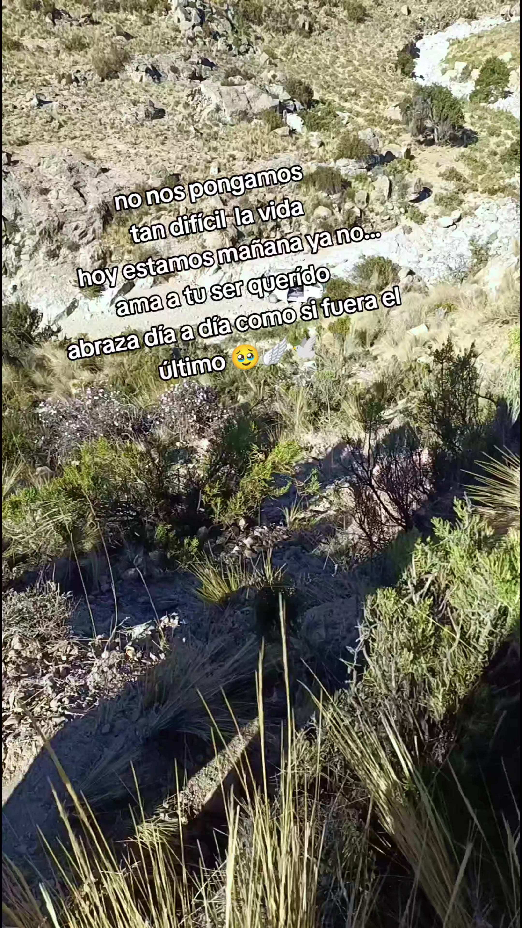 @CATITA🐦🔥🐦🔥❤️🔥